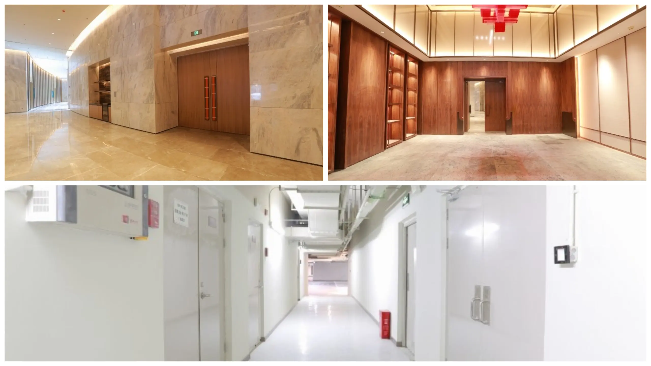 MixCollage-11-Feb-2025-05-46-PM-9149