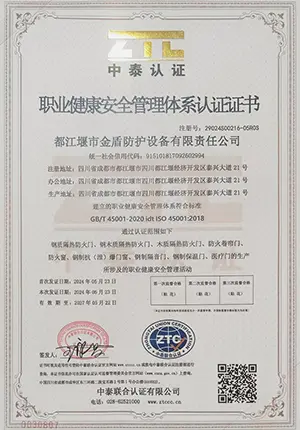 ISO system certification _01